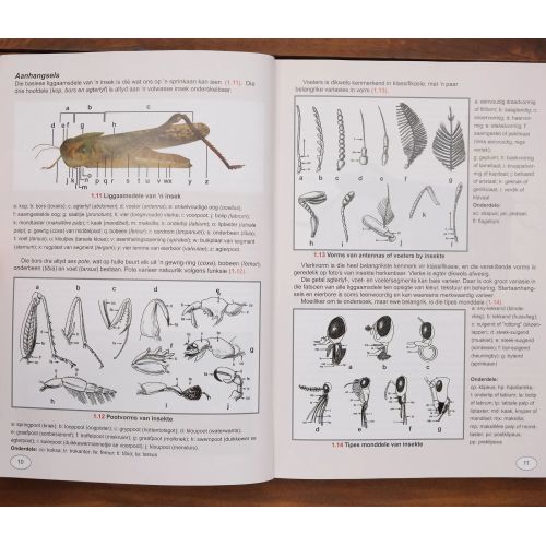 Inseklopedie Van Suid-Afrika | Home | Mickle & More Second-Hand Books