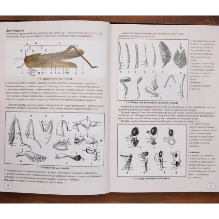 Inseklopedie Van Suid-Afrika | Home | Mickle & More Second-Hand Books