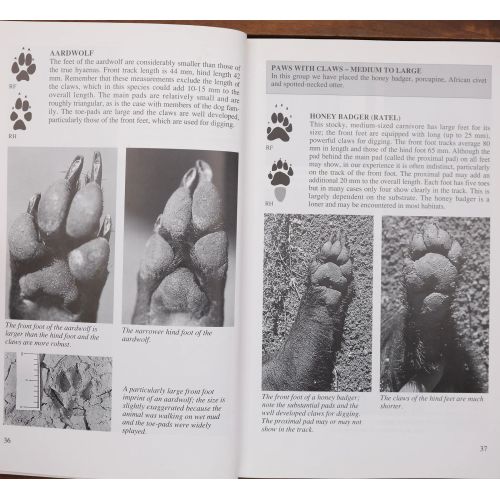 A Field Guide To The Tracks & Signs Of Southern And Eastern African Wildlife | Home | Mickle & More Second-Hand Books