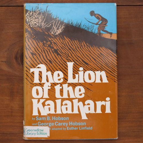 The Lion Of The Kalahari