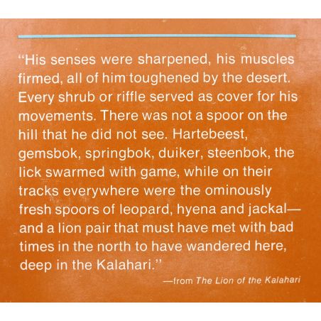 The Lion Of The Kalahari | Home | Mickle & More Second-Hand Books