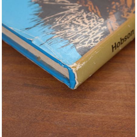 The Lion Of The Kalahari | Home | Mickle & More Second-Hand Books