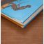 The Lion Of The Kalahari | Home | Mickle & More Second-Hand Books