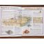 500 Things You Should Know About History | Home | Mickle & More Second-Hand Books