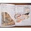 500 Things You Should Know About History | Home | Mickle & More Second-Hand Books