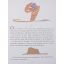 The Little Prince | Home | Mickle & More Second-Hand Books