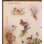Natuurbiblioteek - Die Eekhoring | Home | Mickle & More Second-Hand Books