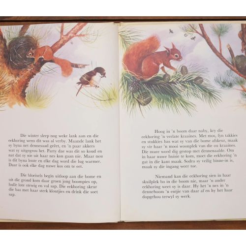 Natuurbiblioteek - Die Eekhoring | Home | Mickle & More Second-Hand Books