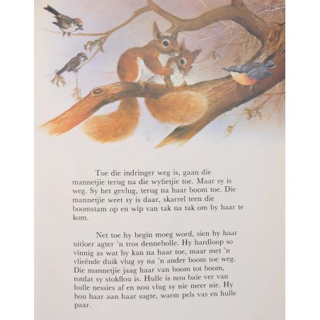 Natuurbiblioteek - Die Eekhoring | Home | Mickle & More Second-Hand Books