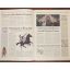 The Sports Timeline Wallbook | Home | Mickle & More Second-Hand Books