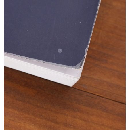 The Atonement Child | Home | Mickle & More Second-Hand Books