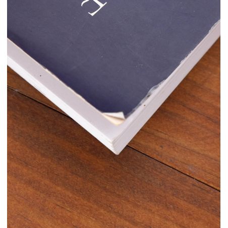 The Atonement Child | Home | Mickle & More Second-Hand Books