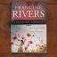 The Atonement Child & The Last Sin Eater: A Contemporary Compilation | Home | Mickle & More Second-Hand Books