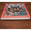 When Lion Could Fly - And Other Tales From Africa | Home | Mickle & More Second-Hand Books