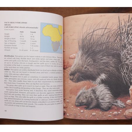 When Lion Could Fly - And Other Tales From Africa | Home | Mickle & More Second-Hand Books