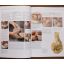 The Practical Potter - A Step-By-Step Handbook | Home | Mickle & More Second-Hand Books