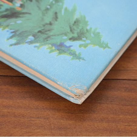 The First Book Of The Fur Trade | Home | Mickle & More Second-Hand Books