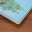 The First Book Of The Fur Trade | Home | Mickle & More Second-Hand Books