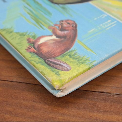 The First Book Of The Fur Trade | Home | Mickle & More Second-Hand Books