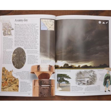 Weather - Eyewitness Guide | Home | Mickle & More Second-Hand Books