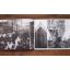 Titanic | Home | Mickle & More Second-Hand Books