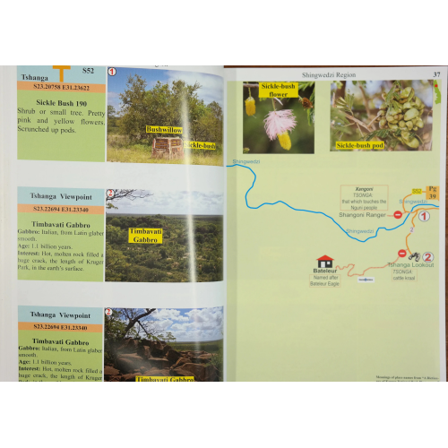 Peter's Guide - Kruger National Park - 10