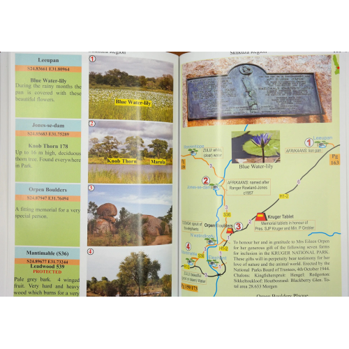 Peter's Guide - Kruger National Park - 11