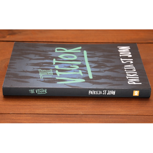 The Victor | Christian Fiction | Your second-hand online book sanctuary