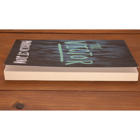 The Victor | Christian Fiction | Your second-hand online book sanctuary
