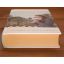 Christy Miller Collection: Volume 4 | Christian Fiction | Your second-hand online book sanctuary
