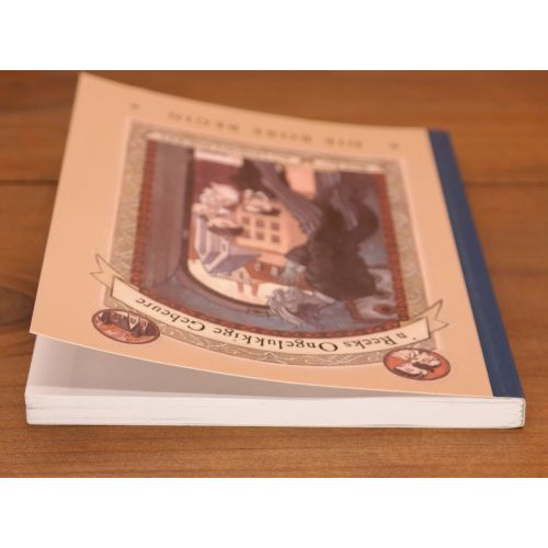 'n Reeks Ongelukkige Gebeure: Die Bose Begin | Jeug | Mickle & More Second-Hand Books