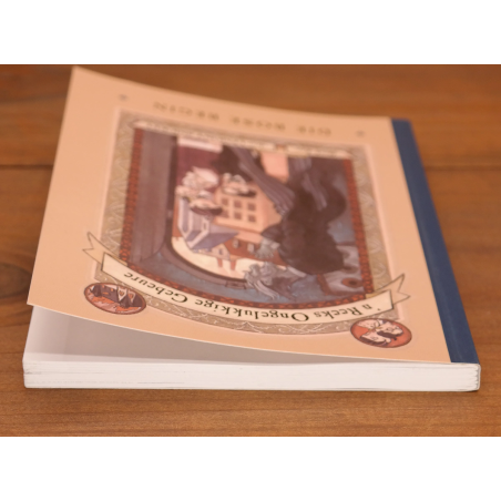 'n Reeks Ongelukkige Gebeure: Die Bose Begin | Jeug | Mickle & More Second-Hand Books