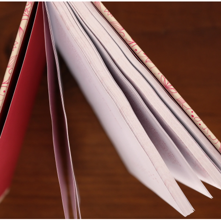 Speurhond Willem Op Reis | Jeug | Your second-hand online book sanctuary
