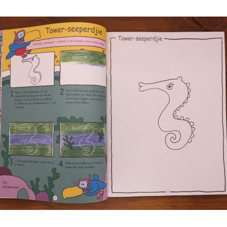 Dol oor kuns! | Educational | Mickle & More Second-Hand Books
