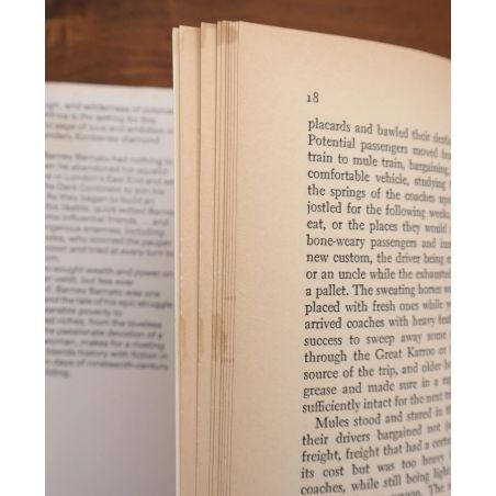 Rough Diamond - The Incredible Story of Barney Barnato | Home | Mickle & More Second-Hand Books