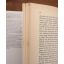 Rough Diamond - The Incredible Story of Barney Barnato | Home | Mickle & More Second-Hand Books