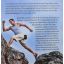 Up for the Challenge? Over 60 of the World’s Most Grueling and Spectacular Sports Events | Individual Sports | Mickle & More Sec