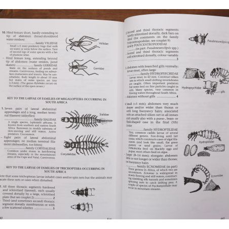 Vanishing Waters | Environment & Conservation | Mickle & More Second-Hand Books