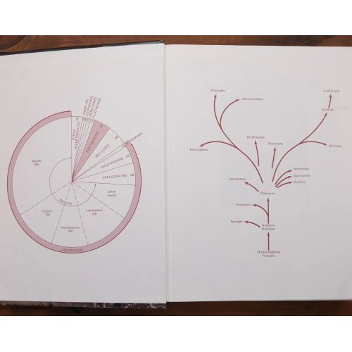 Invertebrate Zoology | Science | Mickle & More Second-Hand Books