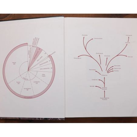 Invertebrate Zoology | Science | Mickle & More Second-Hand Books