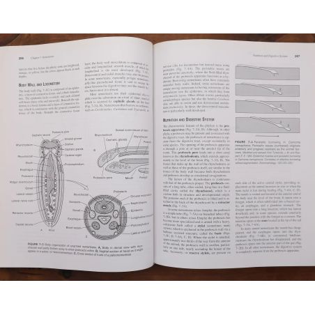 Invertebrate Zoology | Science | Mickle & More Second-Hand Books
