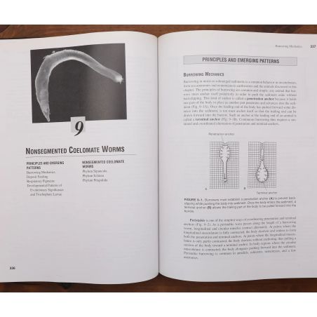 Invertebrate Zoology | Science | Mickle & More Second-Hand Books