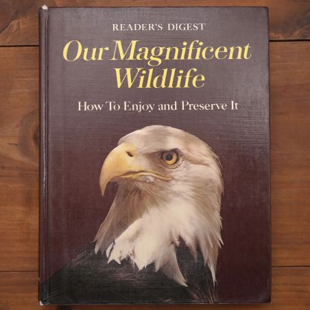 Our Magnificent Wildlife - How To Enjoy And Preserve It | Nature & Wildlife | Mickle & More Second-Hand Books
