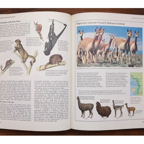 Our Magnificent Wildlife - How To Enjoy And Preserve It | Nature & Wildlife | Mickle & More Second-Hand Books