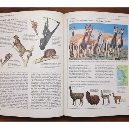 Our Magnificent Wildlife - How To Enjoy And Preserve It | Nature & Wildlife | Mickle & More Second-Hand Books