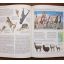Our Magnificent Wildlife - How To Enjoy And Preserve It | Nature & Wildlife | Mickle & More Second-Hand Books