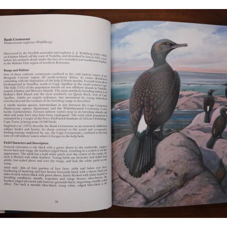 The Rare Birds Of Southern Africa | Birds | Mickle & More Second-Hand Books