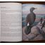The Rare Birds Of Southern Africa | Birds | Mickle & More Second-Hand Books