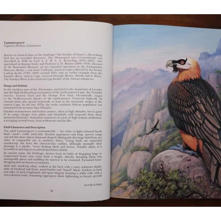 The Rare Birds Of Southern Africa | Birds | Mickle & More Second-Hand Books