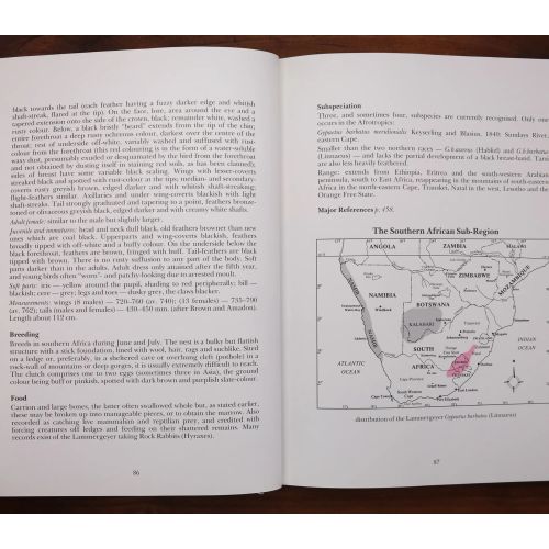 The Rare Birds Of Southern Africa | Birds | Mickle & More Second-Hand Books